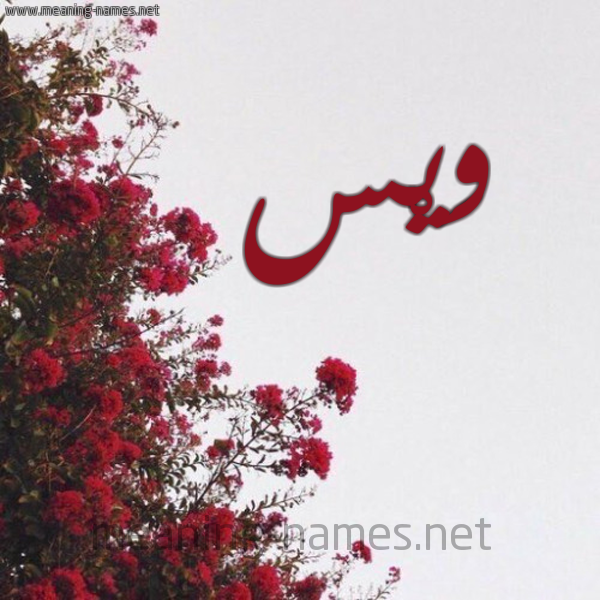 شكل 18 صوره الورد الأحمر للإسم بخط رقعة صورة اسم وَيْس OAIS