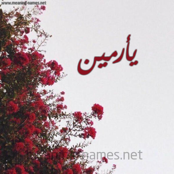 شكل 18 صوره الورد الأحمر للإسم بخط رقعة صورة اسم يأرمين Armin