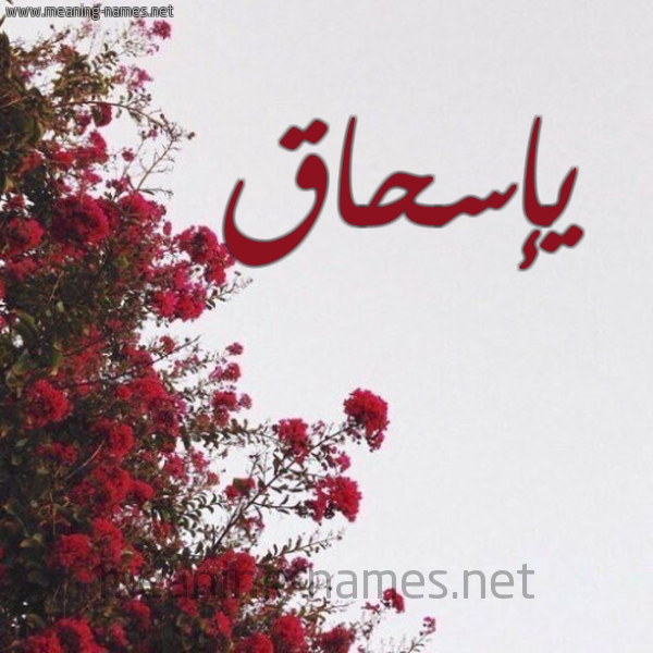 شكل 18 صوره الورد الأحمر للإسم بخط رقعة صورة اسم يإسحاق Ishaq