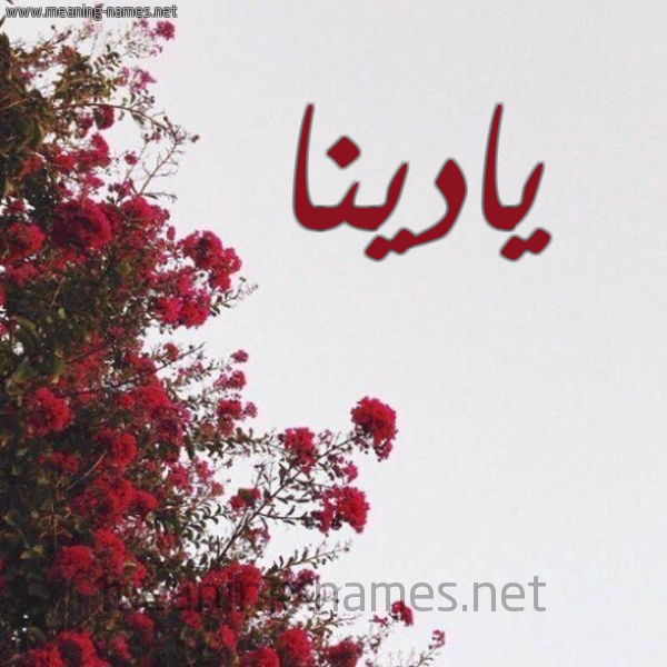 شكل 18 صوره الورد الأحمر للإسم بخط رقعة صورة اسم يادينا Adina