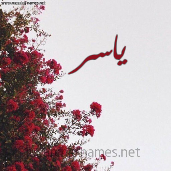شكل 18 صوره الورد الأحمر للإسم بخط رقعة صورة اسم ياسر Yaser