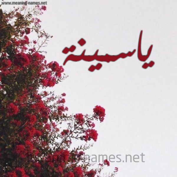 شكل 18 صوره الورد الأحمر للإسم بخط رقعة صورة اسم ياسمينة Yasmina