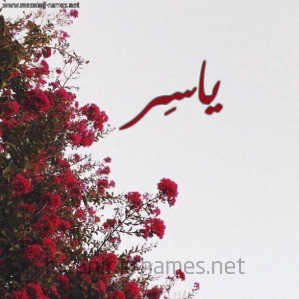 شكل 18 صوره الورد الأحمر للإسم بخط رقعة صورة اسم ياسِر Yaser