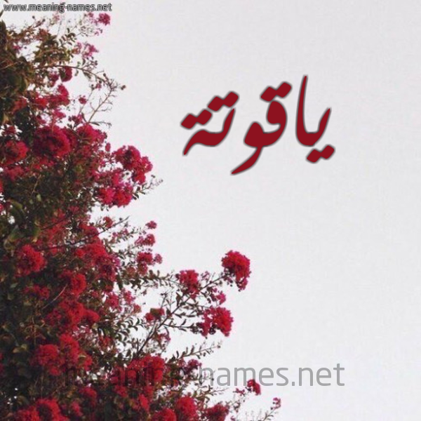 شكل 18 صوره الورد الأحمر للإسم بخط رقعة صورة اسم ياقوتة Yaqwt'h