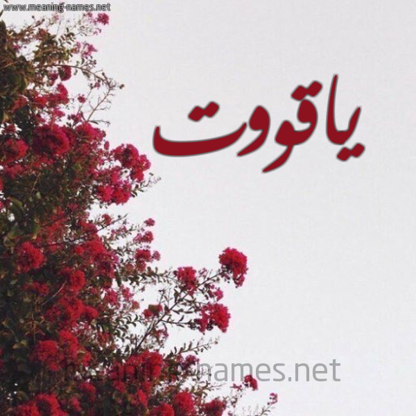 شكل 18 صوره الورد الأحمر للإسم بخط رقعة صورة اسم ياقووت yaqoot
