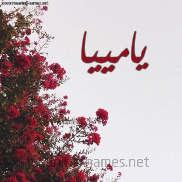 شكل 18 صوره الورد الأحمر للإسم بخط رقعة صورة اسم يامييا Amia
