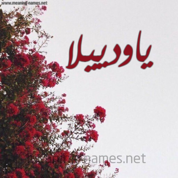 شكل 18 صوره الورد الأحمر للإسم بخط رقعة صورة اسم ياودييلا Odila