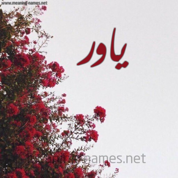 شكل 18 صوره الورد الأحمر للإسم بخط رقعة صورة اسم ياور Yawer