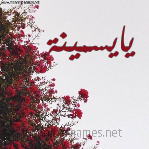 شكل 18 صوره الورد الأحمر للإسم بخط رقعة صورة اسم يايسمينة Yasmina