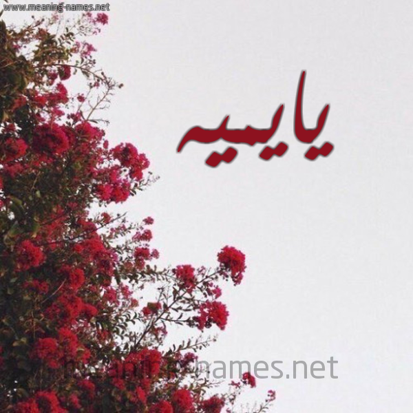 شكل 18 صوره الورد الأحمر للإسم بخط رقعة صورة اسم يايميه Aimée-
