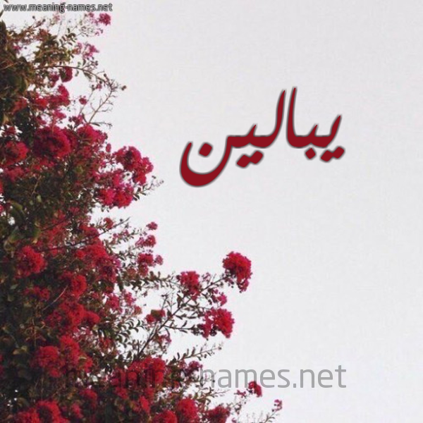 شكل 18 صوره الورد الأحمر للإسم بخط رقعة صورة اسم يبالين Balin