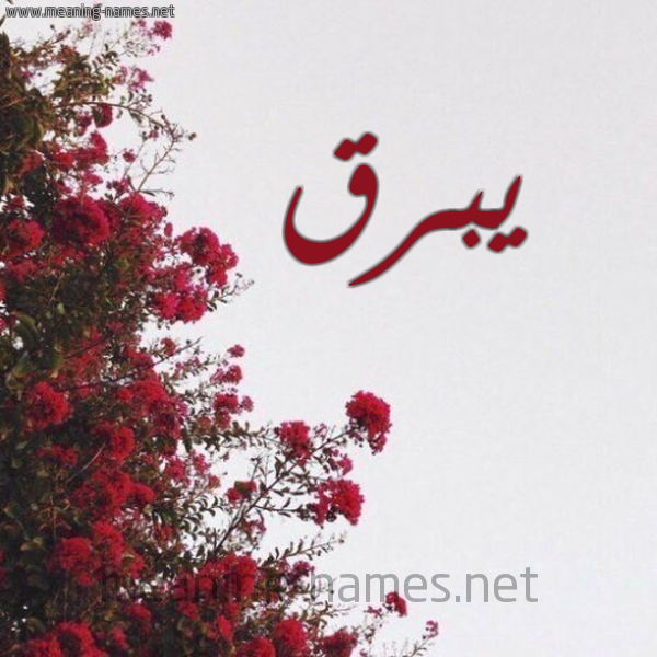 شكل 18 صوره الورد الأحمر للإسم بخط رقعة صورة اسم يبرق Ybrq