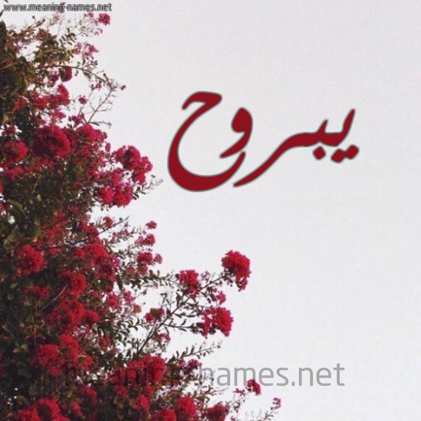 شكل 18 صوره الورد الأحمر للإسم بخط رقعة صورة اسم يبروح Ybrwh