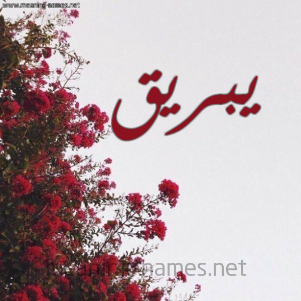 شكل 18 صوره الورد الأحمر للإسم بخط رقعة صورة اسم يبريق Yabraq
