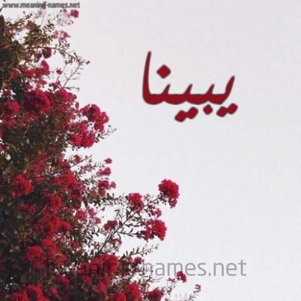 شكل 18 صوره الورد الأحمر للإسم بخط رقعة صورة اسم يبينا Penna
