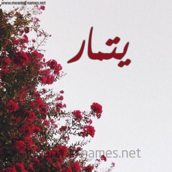 شكل 18 صوره الورد الأحمر للإسم بخط رقعة صورة اسم يتمار Tamar