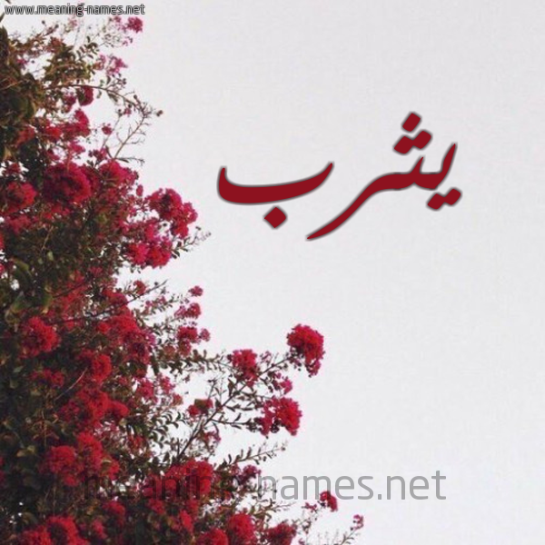 شكل 18 صوره الورد الأحمر للإسم بخط رقعة صورة اسم يثرب Ythrb
