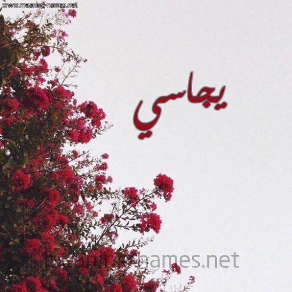 شكل 18 صوره الورد الأحمر للإسم بخط رقعة صورة اسم يجاسي Jacy