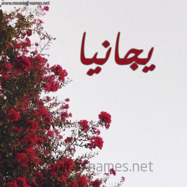 شكل 18 صوره الورد الأحمر للإسم بخط رقعة صورة اسم يجانيا Janiya