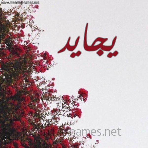 شكل 18 صوره الورد الأحمر للإسم بخط رقعة صورة اسم يجايد Jaid