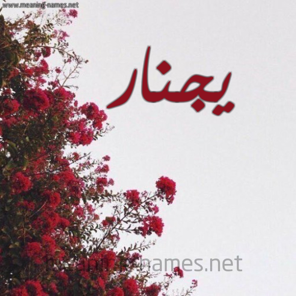 شكل 18 صوره الورد الأحمر للإسم بخط رقعة صورة اسم يجنار Janar