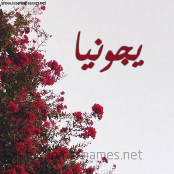شكل 18 صوره الورد الأحمر للإسم بخط رقعة صورة اسم يجونيا Junia