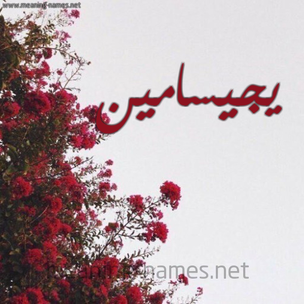شكل 18 صوره الورد الأحمر للإسم بخط رقعة صورة اسم يجيسامين Jessamine