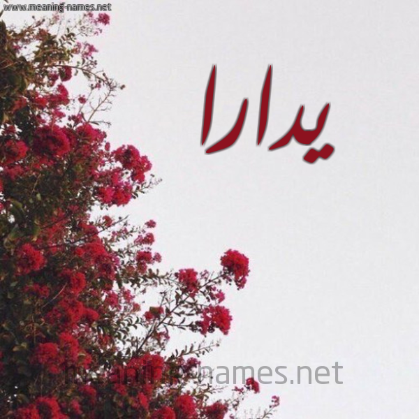 شكل 18 صوره الورد الأحمر للإسم بخط رقعة صورة اسم يدارا Dara