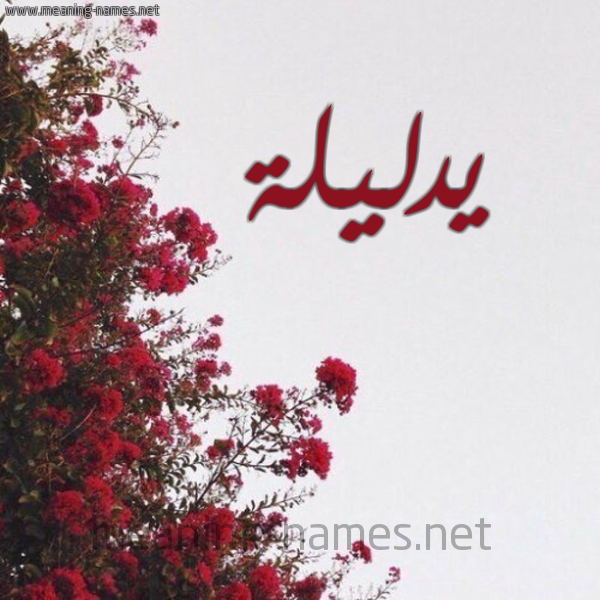 شكل 18 صوره الورد الأحمر للإسم بخط رقعة صورة اسم يدليلة Dalilah