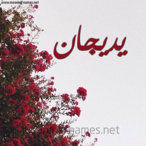 شكل 18 صوره الورد الأحمر للإسم بخط رقعة صورة اسم يديجان Dejan