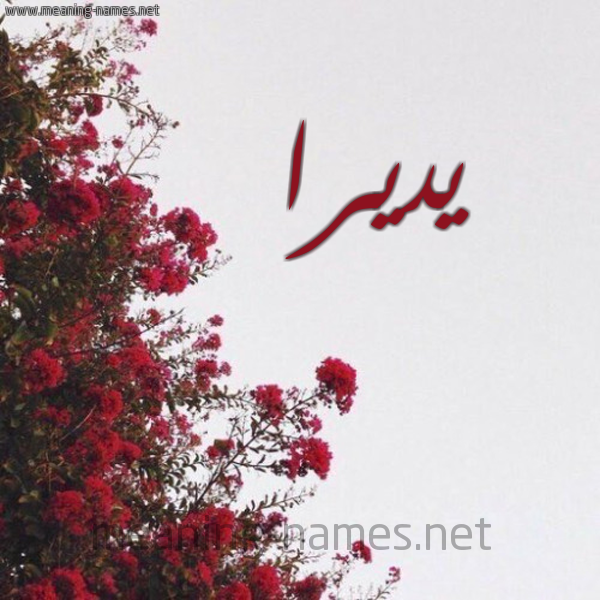 شكل 18 صوره الورد الأحمر للإسم بخط رقعة صورة اسم يديرا Dera