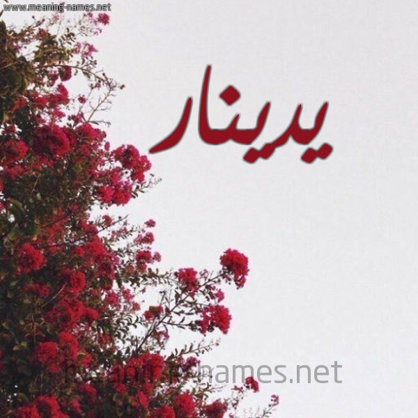 شكل 18 صوره الورد الأحمر للإسم بخط رقعة صورة اسم يدينار Dinar