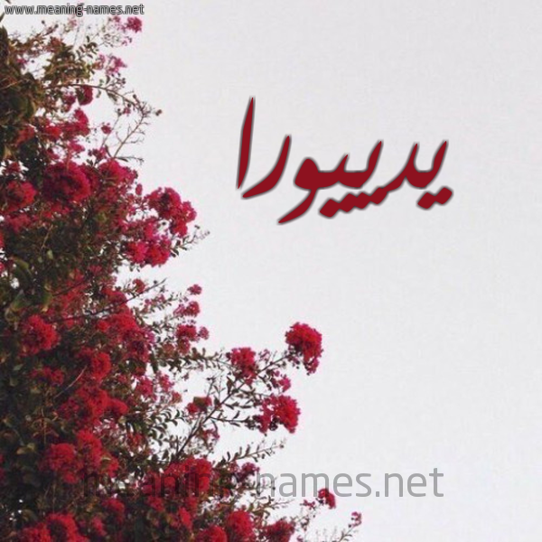 شكل 18 صوره الورد الأحمر للإسم بخط رقعة صورة اسم يدييورا Diora
