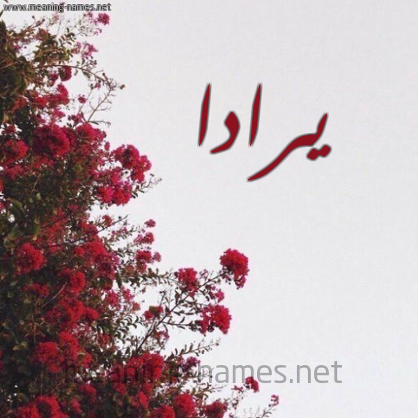 شكل 18 صوره الورد الأحمر للإسم بخط رقعة صورة اسم يرادا Rada