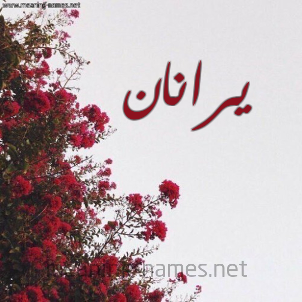 شكل 18 صوره الورد الأحمر للإسم بخط رقعة صورة اسم يرانان Ranan