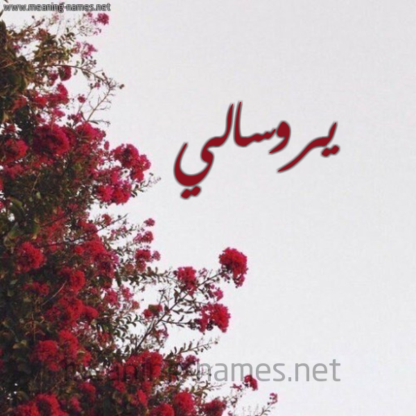 شكل 18 صوره الورد الأحمر للإسم بخط رقعة صورة اسم يروسالي Rosalie