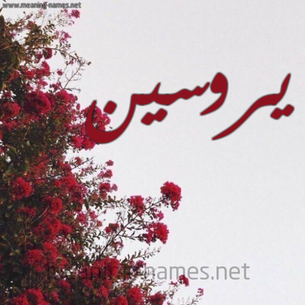 شكل 18 صوره الورد الأحمر للإسم بخط رقعة صورة اسم يروسين 