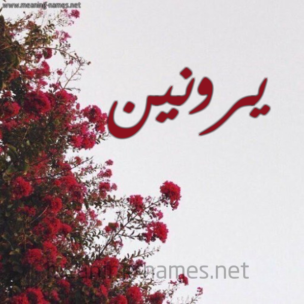 شكل 18 صوره الورد الأحمر للإسم بخط رقعة صورة اسم يرونين Ronen