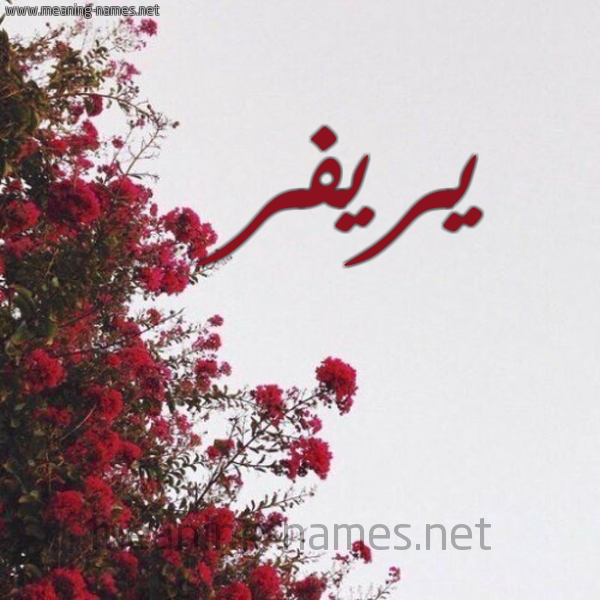 شكل 18 صوره الورد الأحمر للإسم بخط رقعة صورة اسم يريفر River