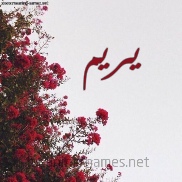 شكل 18 صوره الورد الأحمر للإسم بخط رقعة صورة اسم يريم Yrym