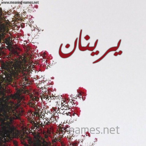 شكل 18 صوره الورد الأحمر للإسم بخط رقعة صورة اسم يرينان Renan
