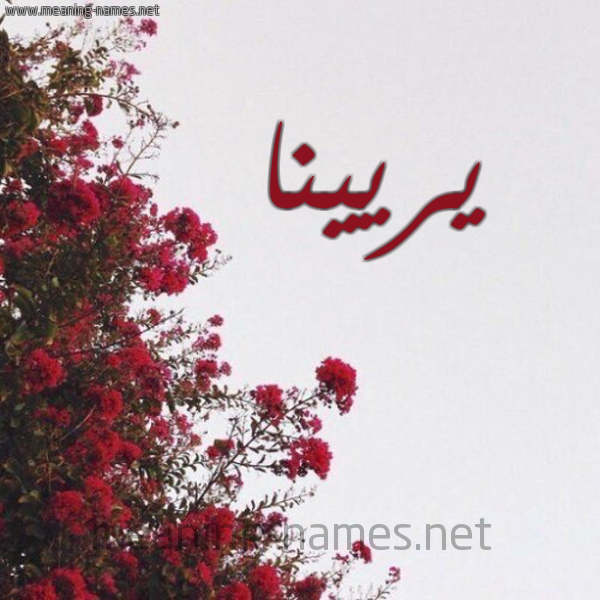 شكل 18 صوره الورد الأحمر للإسم بخط رقعة صورة اسم يريينا Rina