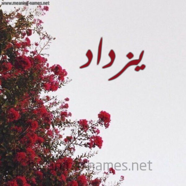 شكل 18 صوره الورد الأحمر للإسم بخط رقعة صورة اسم يزداد Yzdad