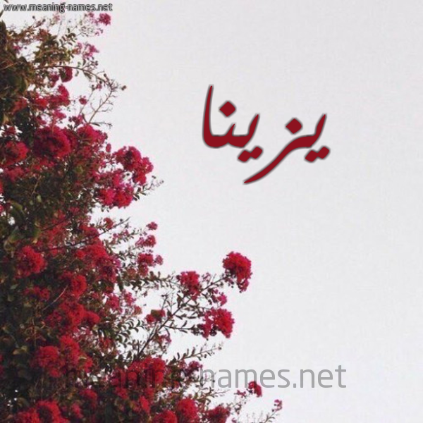 شكل 18 صوره الورد الأحمر للإسم بخط رقعة صورة اسم يزينا Zina