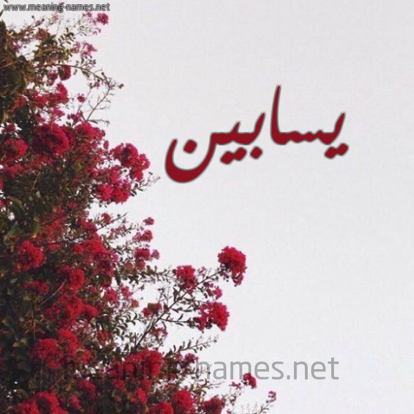 شكل 18 صوره الورد الأحمر للإسم بخط رقعة صورة اسم يسابين Sabin
