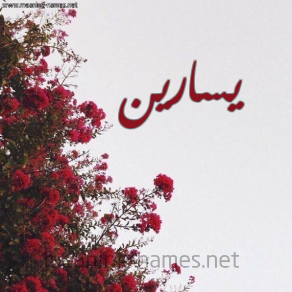 شكل 18 صوره الورد الأحمر للإسم بخط رقعة صورة اسم يسارين Sarine