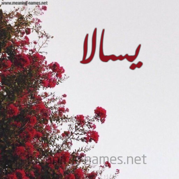 شكل 18 صوره الورد الأحمر للإسم بخط رقعة صورة اسم يسالا Sala