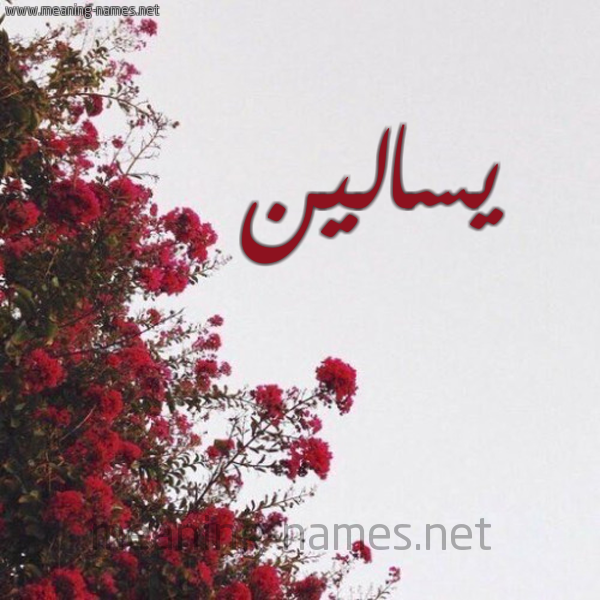 شكل 18 صوره الورد الأحمر للإسم بخط رقعة صورة اسم يسالين Salin