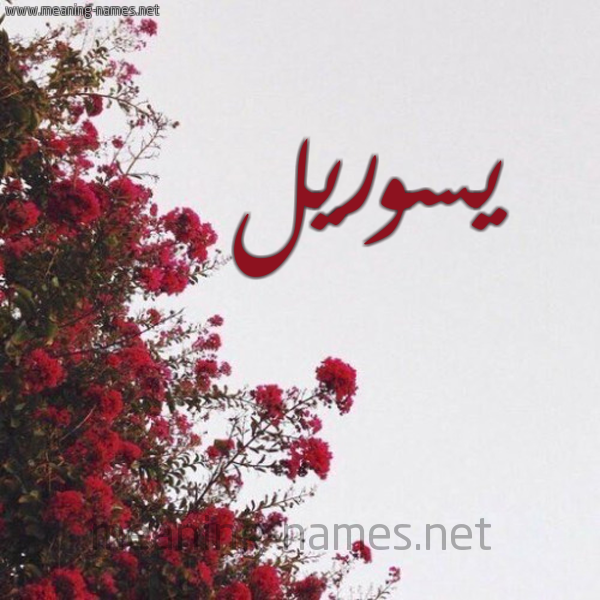 شكل 18 صوره الورد الأحمر للإسم بخط رقعة صورة اسم يسوريل Sorrel