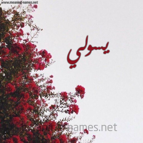 شكل 18 صوره الورد الأحمر للإسم بخط رقعة صورة اسم يسولي Soly